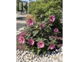 113 DEER RIDGE Drive - 49