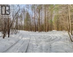 3907 WELLINGTON 35 Road - 19