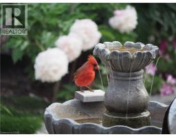 130 COOPERSHAWK Street - 46