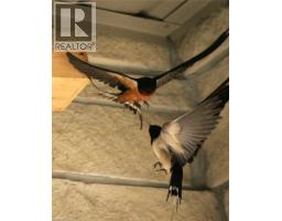 130 COOPERSHAWK Street - 47