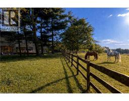 1067 JERSEYVILLE Road W - 49