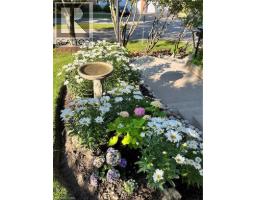 341 GEORGE Street N UnitNo. 4 - 41