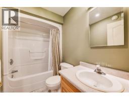 5239 AMENT Line - 24