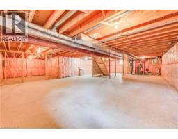 5239 AMENT Line - 25