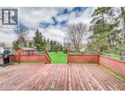 5239 AMENT Line - 27