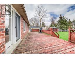 5239 AMENT Line - 28