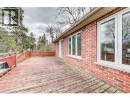 5239 AMENT Line - 29