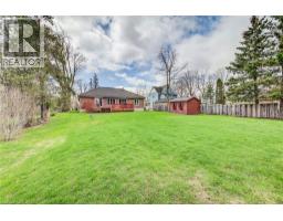 5239 AMENT Line - 31