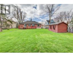 5239 AMENT Line - 32