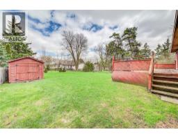 5239 AMENT Line - 34