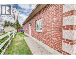 5239 AMENT Line - 35