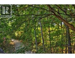 313 PINE VALLEY Drive - 41