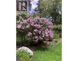 56 LYDIA Street - 28