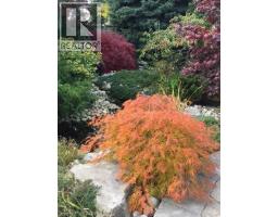 36 ROSECLIFF Court - 48