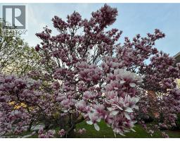 212 WINFIELD Avenue - 27