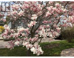 220 REGENT Avenue - 42