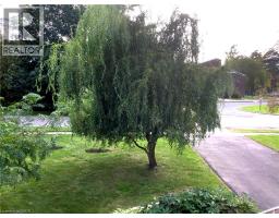 220 REGENT Avenue - 43