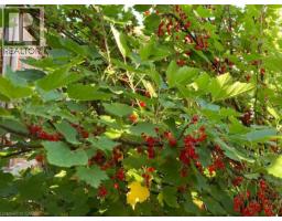 242 DOON MILLS Drive - 43