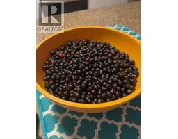 242 DOON MILLS Drive - 44