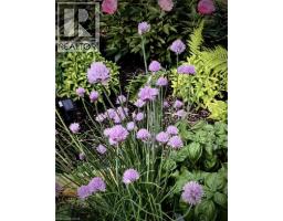 245 JOHN ROSA Street E - 21