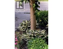 245 JOHN ROSA Street E - 22