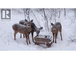 220 SALISBURY Avenue UnitNo. 23 - 40