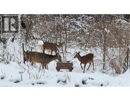 220 SALISBURY Avenue UnitNo. 23 - 41