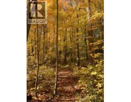 441 WOODBINE Avenue - 42