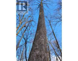 29 UNITY SIDE Road - 19