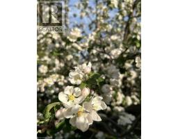 123 FIFTH Avenue - 46