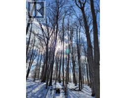 29 Unity Side Road, MLS 40772562