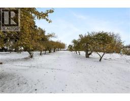 1183 E NORTHFIELD Drive E - 12