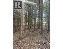 1665 1ST CONCESSION ROAD STR Road - 3