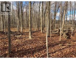 1665 1ST CONCESSION ROAD STR Road - 5