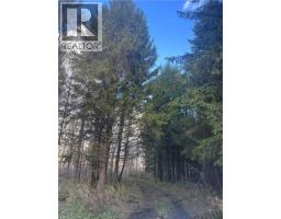 1665 1ST CONCESSION ROAD STR Road - 7