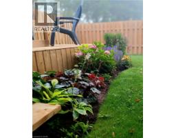 46 DUFFERIN Street - 48