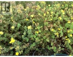 306 ADAMS Avenue - 28