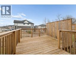 54 BANK SWALLOW Crescent - 42