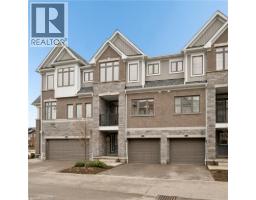 54 BANK SWALLOW Crescent - 5