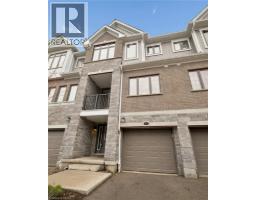 54 BANK SWALLOW Crescent - 6