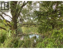 120 PAULINE JOHNSON Road - 11