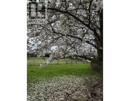 120 PAULINE JOHNSON Road - 9
