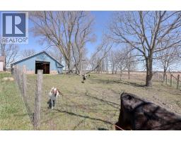 3892 LEWIS Road - 10