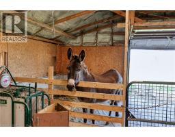 3892 LEWIS Road - 13