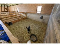 3892 LEWIS Road - 16