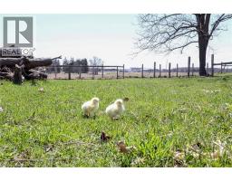 3892 LEWIS Road - 18