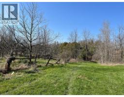 1457 97 REGIONAL Road - 21