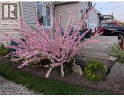 1170 UNION Street - 50