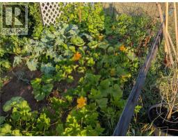 837 FERTILIZER Road - 37