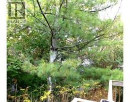 114 GLENCLIFFE Court - 42